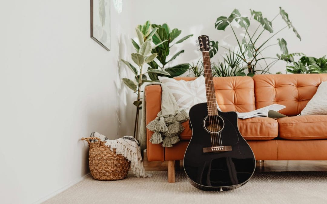 Best Plants for Apartments Bring the Green